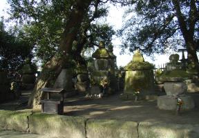 �C���̕�