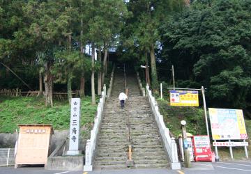 �O�p���̎Q��